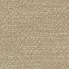 Robert Allen Just Chic Quartz Essentials Collection Indoor Upholstery Fabric