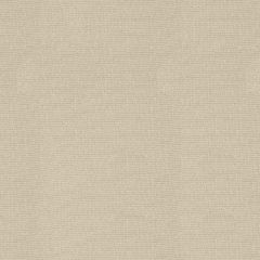 Robert Allen Just Chic Pearl Essentials Collection Indoor Upholstery Fabric