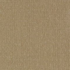 Robert Allen Just Chic Opal Essentials Collection Indoor Upholstery Fabric