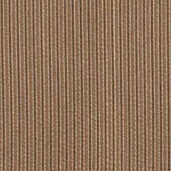 Robert Allen Yang Desert Essentials Collection Indoor Upholstery Fabric