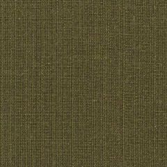 Robert Allen Brightman Leaf Essentials Collection Indoor Upholstery Fabric