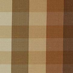 Robert Allen Dinesh Praline Essentials Multi Purpose Collection Indoor Upholstery Fabric