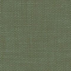 Perennials Rough 'n Rowdy Mint Leaf 955-52 Beyond the Bend Collection Upholstery Fabric