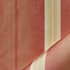 Robert Allen Pasadena Canyon Essentials Multi Purpose Collection Indoor Upholstery Fabric