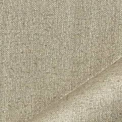 Robert Allen Buoniconti Silver Sage Essentials Multi Purpose Collection Indoor Upholstery Fabric