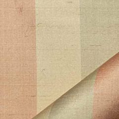 Robert Allen Colburn Peche Essentials Multi Purpose Collection Indoor Upholstery Fabric