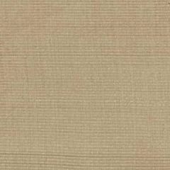 Robert Allen Silk Ottoman Tussah Essentials Multi Purpose Collection Indoor Upholstery Fabric