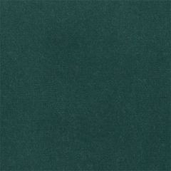 Perennials Plushy Aqua 990-158 More Amore Collection Upholstery Fabric