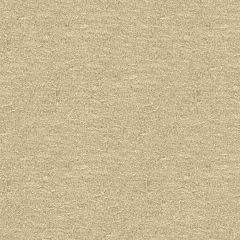 Kravet Contract Beige 4142-1116 Wide Illusions Collection Drapery Fabric