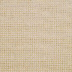 Robert Allen Bandini Jute Color Library Collection Indoor Upholstery Fabric