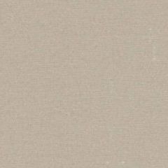 Robert Allen Westmark Snow Essentials Collection Indoor Upholstery Fabric