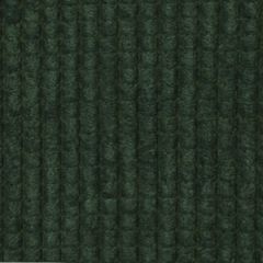Robert Allen Eastfield BK-Polo 142305 Decor Upholstery Fabric