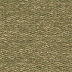 Robert Allen Pleadwell Grass Color Library Collection Indoor Upholstery Fabric