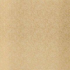 F. Schumacher Kyousha Silk Champagne 2644521 Modern Glamour Collection