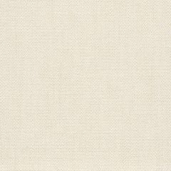 Perennials Canvas Weave Oyster 600-24 More Amore Collection Upholstery Fabric