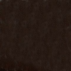 ABBEYSHEA Glaze 002 Brunette Indoor Upholstery Fabric
