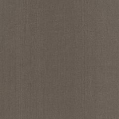 Robert Allen Swagger Truffle Linen Solids Collection Multipurpose Fabric