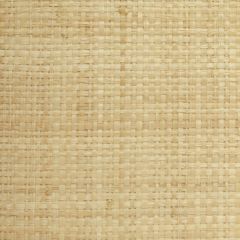 Winfield Thybony Grasscloth WT WBG5120 Wall Covering