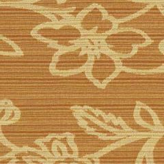 Robert Allen Contract Beatrix Apricot Indoor Upholstery Fabric