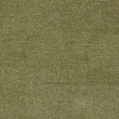 Robert Allen Advantage Grass Essentials Collection Indoor Upholstery Fabric