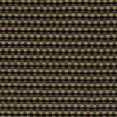 Robert Allen Hysterium Black Color Library Collection Indoor Upholstery Fabric