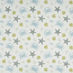 Clarke and Clarke Offshore Mineral F1191-02 Land And Sea Collection Multipurpose Fabric