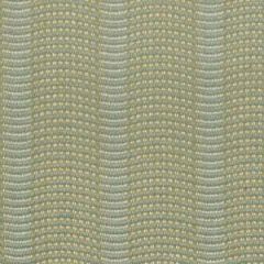 Robert Allen Tenacious Mist Essentials Collection Indoor Upholstery Fabric