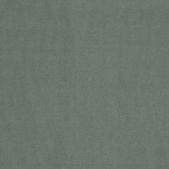 Robert Allen Soft Suede Meadow Essentials Collection Indoor Upholstery Fabric