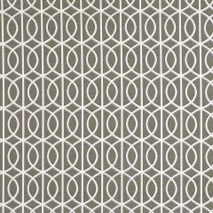 Robert Allen Gate Brindle 193907 Dwell Collection Drapery Fabric