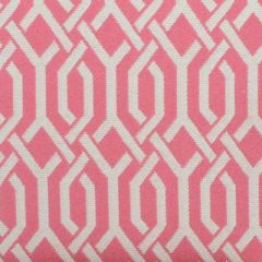 Duralee Bubblegum 32676-670 Decor Fabric