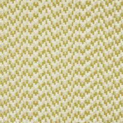 Clarke and Clarke Giacomo Olive F0983-05 Cipriani Collection Drapery Fabric