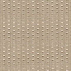 Robert Allen Chouest Alabaster Color Library Multipurpose Collection Indoor Upholstery Fabric