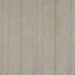 Robert Allen Cozy Stripe Truffle Essentials Collection Indoor Upholstery Fabric