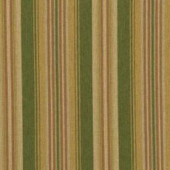 Robert Allen McGarrity Citron Essentials Collection Indoor Upholstery Fabric