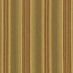 Robert Allen McGarrity Praline Essentials Collection Indoor Upholstery Fabric