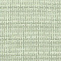 F Schumacher Brickell Leaf 75931 Indoor / Outdoor Prints and Wovens Collection Upholstery Fabric