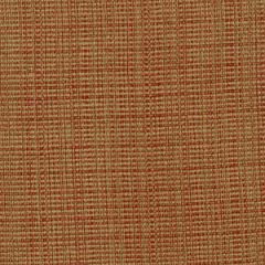 Robert Allen Tulku Adobe Color Library Multipurpose Collection Indoor Upholstery Fabric