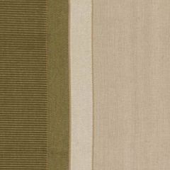 Robert Allen Juxtapose Willow Color Library Collection Indoor Upholstery Fabric