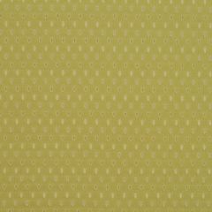 Robert Allen Waterson Willow Color Library Collection Indoor Upholstery Fabric