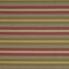 Robert Allen Longhollow Willow Color Library Collection Indoor Upholstery Fabric