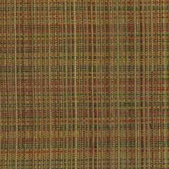 Robert Allen Just Because Reed Color Library Collection Indoor Upholstery Fabric