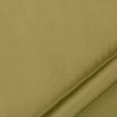 Robert Allen Allepey Cypress Essentials Multi Purpose Collection Indoor Upholstery Fabric