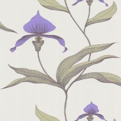 Cole and Son Orchid White 66-4024 New Contemporary Collection Wall Covering