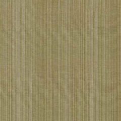 Robert Allen Tanjore Willow Essentials Multi Purpose Collection Indoor Upholstery Fabric