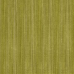 Robert Allen Tanjore Pear Essentials Multi Purpose Collection Indoor Upholstery Fabric