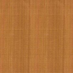 Robert Allen Tanjore Clay Essentials Multi Purpose Collection Indoor Upholstery Fabric