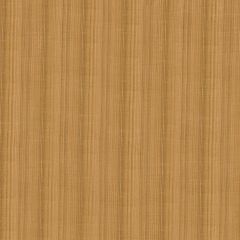 Robert Allen Tanjore Sandcastle Essentials Multi Purpose Collection Indoor Upholstery Fabric