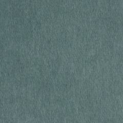 Beacon Hill Karoo Mohair-Titanium 228666 Decor Upholstery Fabric