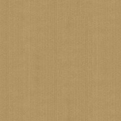 Kravet Contract Tan Strie Velvet 33353-106 Guaranteed in Stock Indoor Upholstery Fabric