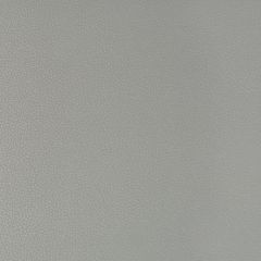 Kravet Contract Syrus Nickel 21 Indoor Upholstery Fabric